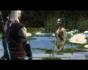 The Witcher