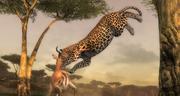 Afrika