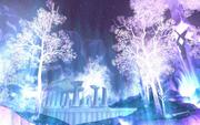 World of Warcraft: Kein Wachstum seit 2008