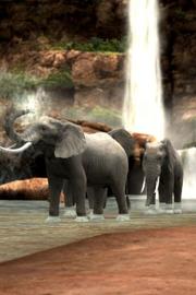 Afrika