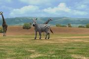 HakunaMatata: Abenteuer Afrika