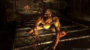 Fallout 3: The Pitt