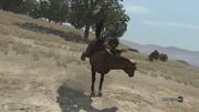 Red Dead Redemption (Test-Version) (11)