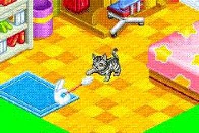 Bild 1 zu CATZ