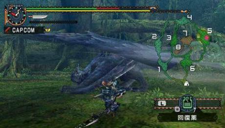 Bild 1 zu Monster Hunter Portable 2nd G