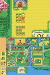 Bild 1 zu Harvest Moon DS Cute