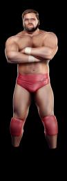 Bild 1 zu WWE Legends of WrestleMania