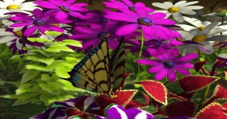 Bild 1 zu My Garden