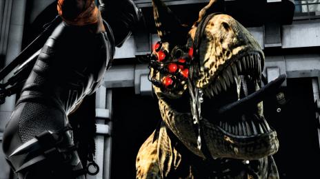 Bild 1 zu Ninja Gaiden 3