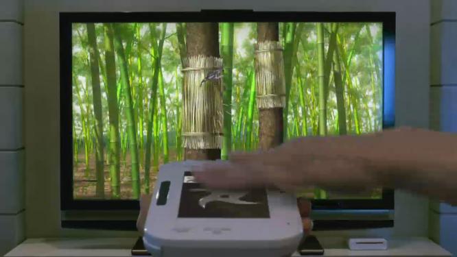 Die eigentliche Innovation der Wii U ist laut Reggie Fils-Aime der Controller. Das HD-Feature ist Nintendo nicht genug.