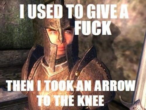 Offenbar haben alle Stadtwachen in The Elder Scrolls 5: Skyrim in ihrer Zeit als Abenteurer ein Pfeil ins Knie bekommen. Was ein Zufall. (17)