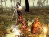 The Witcher