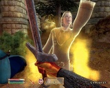 The Elder Scrolls 4: Oblivion