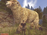 Gothic 2: es weihnachtet noch immer