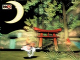 Okami für Wii: Etliche neue Details zur Umsetzung!