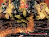 Okami unterstüzt 16:9 und 480p