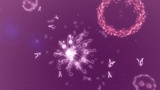 Flow: Futter für Puzzler