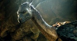 Eragon: Das Vermächtnis der Drachenreiter - Tests - DVD