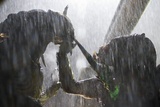 Aliens vs. Predator 2: Video-Interview mit den Regisseuren