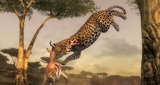 Afrika: Ist das Grafikwunder zum Einschlafen? - UPDATE!