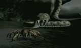 Deadly Creatures: Packender Psycho-Trailer mit Hollywood-Power