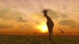 Afrika: Seht das PS3-Grafikwunder in HD!