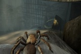 Deadly Creatures: Gruseliges Video-Entwicklertagebuch