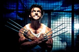 Geht WOLVERINE nach Japan?