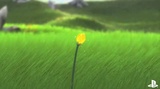 Flower (PSN)