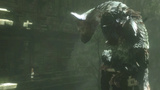 The Last Guardian: Präsentation auf der Tokyo Game Show - Release-Termin bestätigt + TGS-Trailer