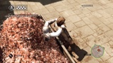 Assassin's Creed 2: Tipps und Tricks sowie die Komplettlösung zu Assassin's Creed 2