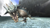 Monster Hunter Tri: Capcom kündigt Download-Quests an