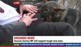 Kurios: Politiker schimpft über Videospieler und wird von dessen Hund angefallen
