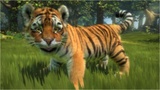 Kinectimals: Infos, Screenshots und Videos vom süßesten Xbox-360-Kinect-Spiel 