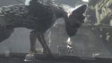 The Last Guardian wird nicht auf der Tokyo Games Show 2011 vertreten sein
