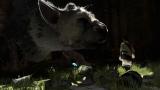 The Last Guardian: Könnte Move-Unterstützung haben - Trophy-Support für Ico und Shadow of the Colossus