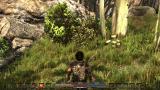 Arcania: Gothic 4-Gewinnspiel - Sichert euch das Rollenspiel und das Lösungsbuch