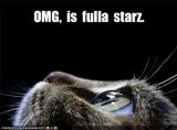 Sci-Fi Lolcats: Die Science-Fiction-Edition der Kult-Katzen