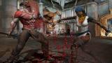 Dragon Age 2: ESRB beschreibt Sex und Gewalt im Spiel