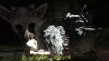 The Last Guardian eingestellt? Gamestop USA schockt Vorbesteller mit falscher Nachricht