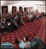 Für die Lachmuskeln: Die lustigsten Gif-Bilder, die das Netz zu bieten hat - mit Update