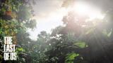 The Last of Us: Erste Screenshots mit beeindruckender Grafik zum PS3-Exklusivtitel - Update: Neue Details bekannt