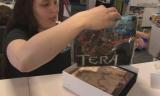 Tera: Unboxing-Video der Collector's Edition