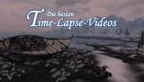 Slow-Motion war gestern: Ameisen-Horde vernichtet Gecko binnen Sekunden - die besten Time-Lapse-Videos aus dem Netz