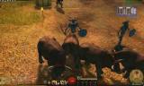 Guild Wars 2: Events aus der Beta im kommentierten Video - Was sind eigentlich Kuh-Skills?