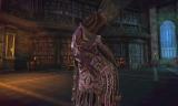 Tera: Die Baraka im Video vorgestellt