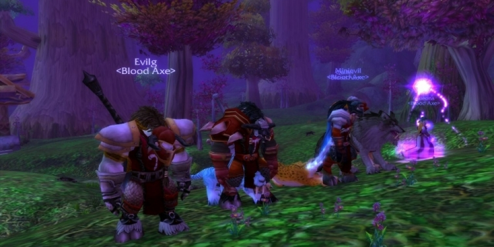 World of Warcraft konnte auf der E3 2002 gespielt werden. Zu sehen ist ein sehr frühes Stadium des Spiels