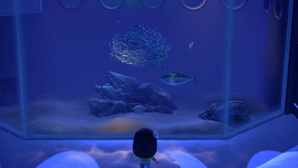 Animal Crossing: New Horizons: Monatsguide März - alle Fische, Insekten und Meerestiere, die ihr jetzt fangen könnt