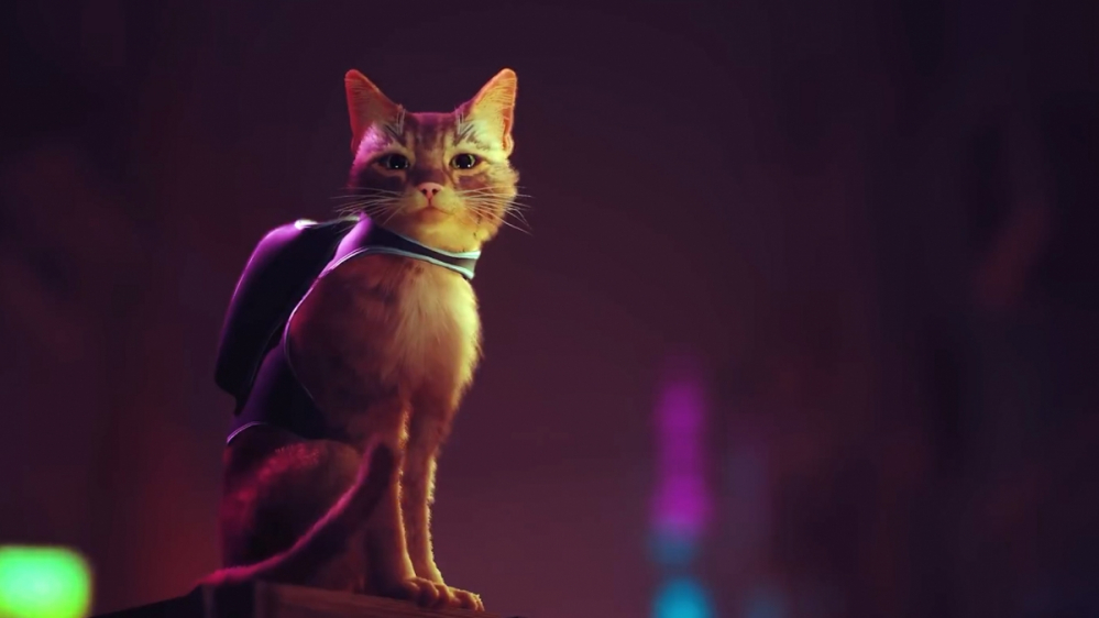 Stray im Test: Apokalypse Miau