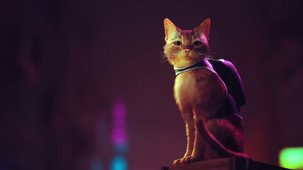 PS Plus: Drei neue Gratis-Spiele im November - darunter ein Cyberpunk-Katzen-Adventure